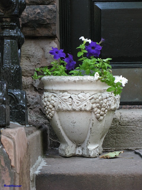 Brooklyn Heights Rowhouse Flowers